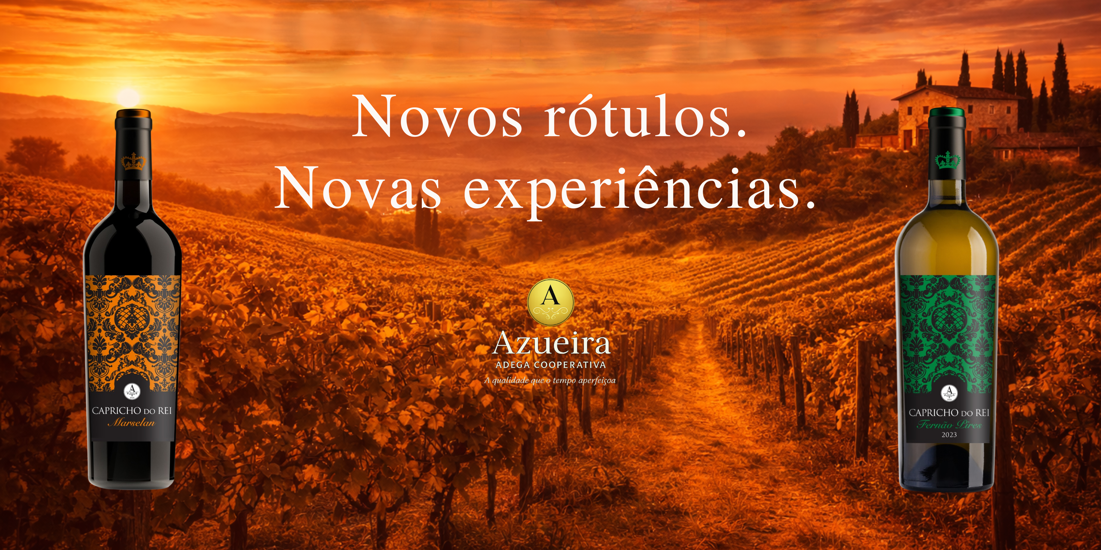 Catálogo completo de vinhos portugueses - Tintos encorpados, Brancos frescos e Rosés elegantes